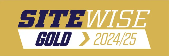 site wise logo gold 2024/25